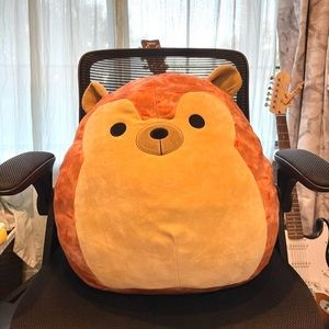 Hans the Hedgehog Squishmallow! 20” x 48 1/2”